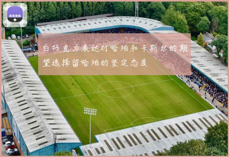 白巧克力表达对哈珀和卡斯尔的期望选择留哈珀的坚定态度
