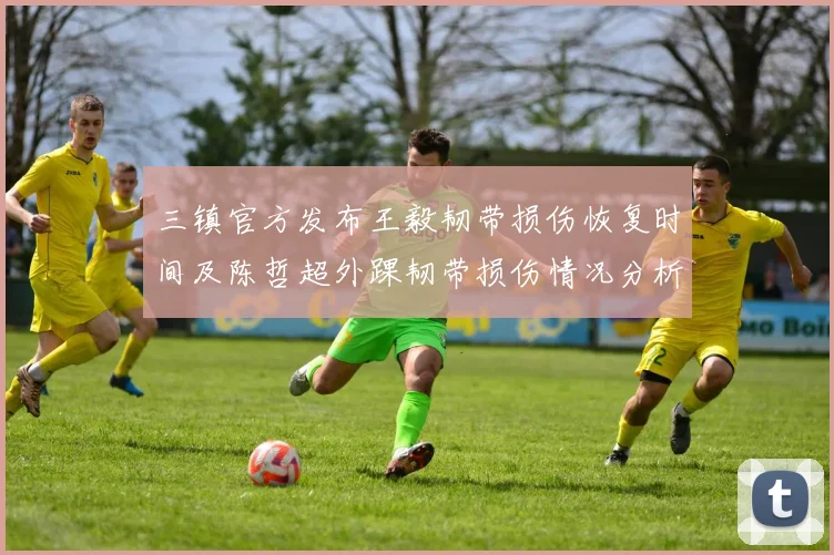 三镇官方发布王毅韧带损伤恢复时间及陈哲超外踝韧带损伤情况分析